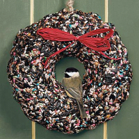 Edible Bird Feeders & Ornaments (View all)